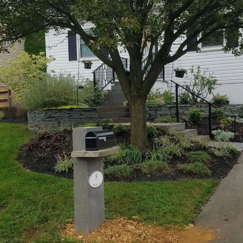 a garden bed around a tree